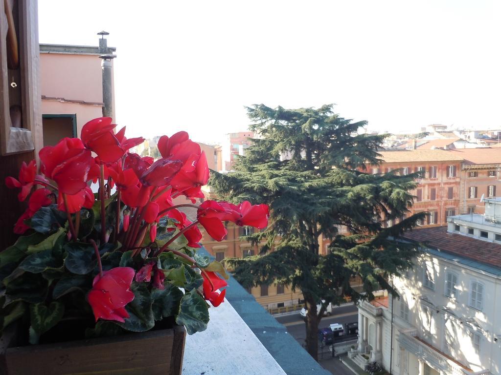 Affittacamere Blu Gardenia Roma